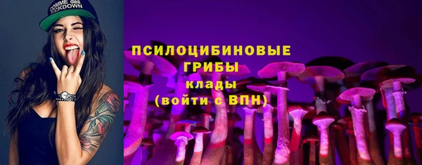меф Белокуриха
