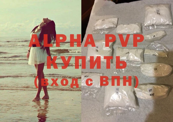 индика Белоозёрский