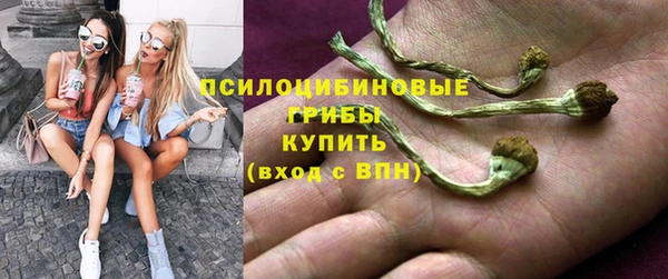 меф Белокуриха