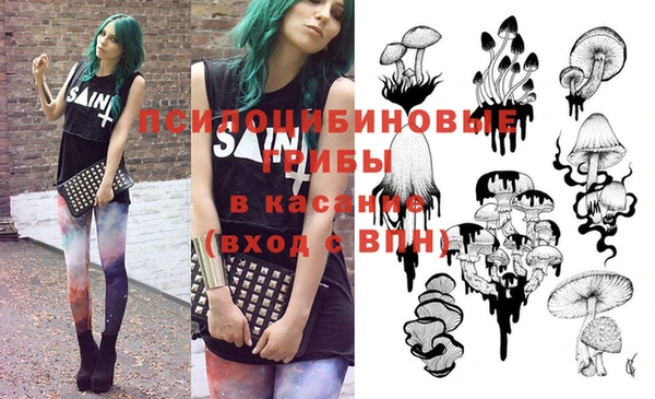 меф Белокуриха