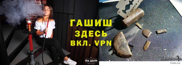 индика Белоозёрский