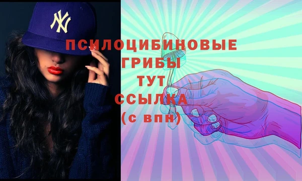 крисы Беломорск