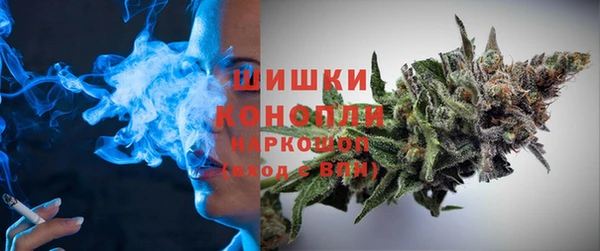 индика Белоозёрский