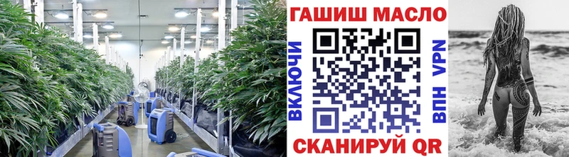 Дистиллят ТГК THC oil купить закладку Кудымкар