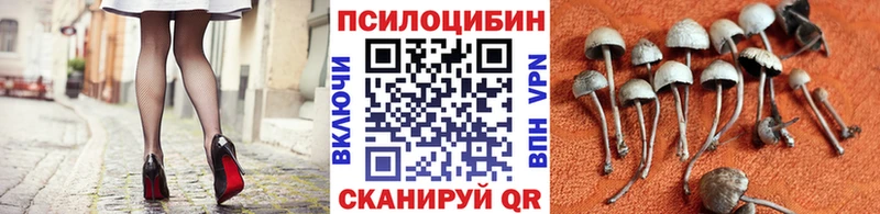Галлюциногенные грибы мухоморы  Кудымкар 